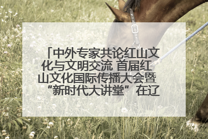 中外专家共论红山文化与文明交流 首届红山文化国际传播大会暨“新时代大讲堂”在辽宁朝阳举办