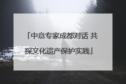 中意专家成都对话 共探文化遗产保护实践