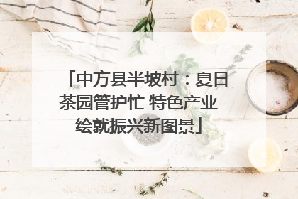 中方县半坡村：夏日茶园管护忙 特色产业绘就振兴新图景