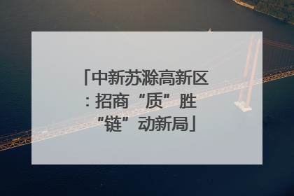 中新苏滁高新区：招商“质”胜 “链”动新局