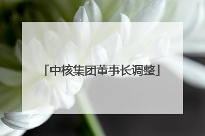 中核集团董事长调整