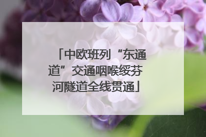 中欧班列“东通道”交通咽喉绥芬河隧道全线贯通