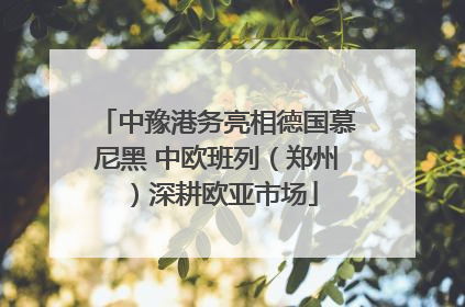 中豫港务亮相德国慕尼黑 中欧班列（郑州）深耕欧亚市场