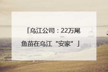 乌江公司：22万尾鱼苗在乌江“安家”