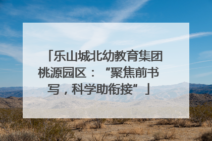 乐山城北幼教育集团桃源园区：“聚焦前书写，科学助衔接”