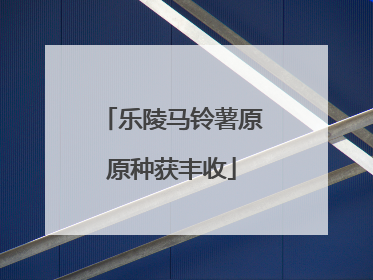 乐陵马铃薯原原种获丰收