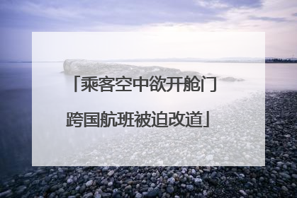 乘客空中欲开舱门 跨国航班被迫改道
