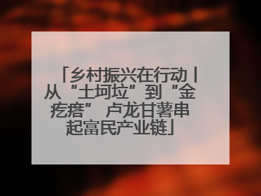 乡村振兴在行动丨从“土坷垃”到“金疙瘩” 卢龙甘薯串起富民产业链