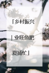 乡村振兴｜业旺鱼肥夏捕忙