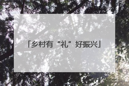 乡村有“礼”好振兴