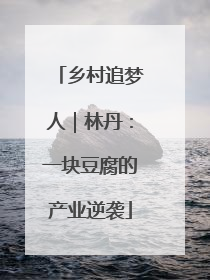 乡村追梦人｜林丹：一块豆腐的产业逆袭