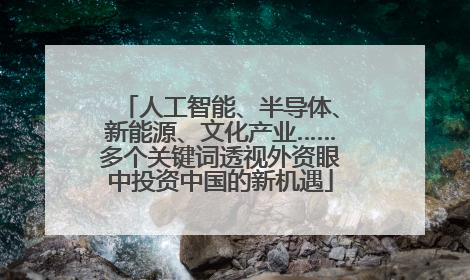 人工智能、半导体、新能源、文化产业……多个关键词透视外资眼中投资中国的新机遇