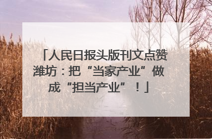 人民日报头版刊文点赞潍坊：把“当家产业”做成“担当产业”！