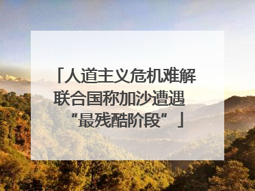 人道主义危机难解 联合国称加沙遭遇“最残酷阶段”