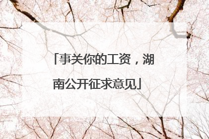 事关你的工资，湖南公开征求意见