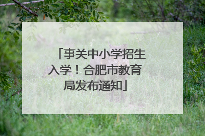 事关中小学招生入学！合肥市教育局发布通知
