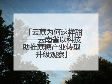 云蔗为何这样甜——云南省以科技助推蔗糖产业转型升级观察