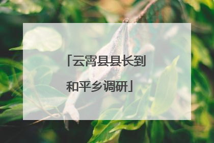 云霄县县长到和平乡调研