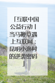 互联中国公益行动丨当马鞭草遇上互联网：昆明小渔村的逆袭密码