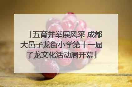 五育并举展风采 成都大邑子龙街小学第十一届子龙文化活动周开幕