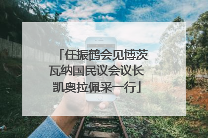 任振鹤会见博茨瓦纳国民议会议长凯奥拉佩采一行