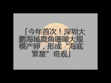 今年首次！深圳大鹏海域鹿角珊瑚大规模产卵，形成“海底繁星”奇观