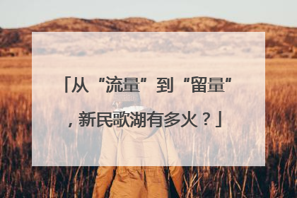 从“流量”到“留量”，新民歌湖有多火？