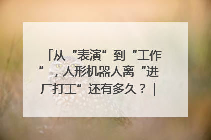 从“表演”到“工作”，人形机器人离“进厂打工”还有多久？｜机器人商业新纪元