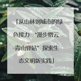 从山林到城市的绿色接力 “漫步缙云·青山驿站”探索生态文明新实践