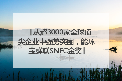 从超3000家全球顶尖企业中强势突围，能环宝蝉联SNEC金奖