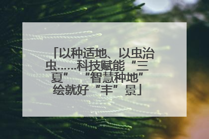以种适地、以虫治虫……科技赋能“三夏” “智慧种地”绘就好“丰”景