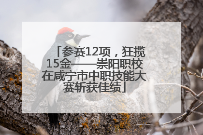 参赛12项，狂揽15金——崇阳职校在咸宁市中职技能大赛斩获佳绩