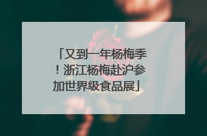 又到一年杨梅季！浙江杨梅赴沪参加世界级食品展