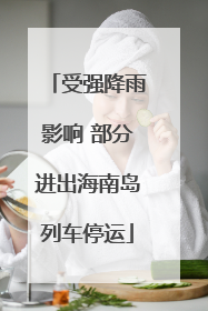 受强降雨影响 部分进出海南岛列车停运