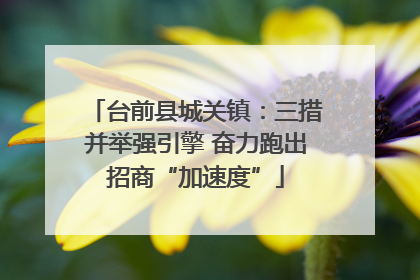 台前县城关镇：三措并举强引擎 奋力跑出招商“加速度”
