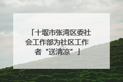 十堰市张湾区委社会工作部为社区工作者“送清凉”