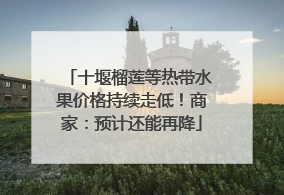 十堰榴莲等热带水果价格持续走低！商家：预计还能再降