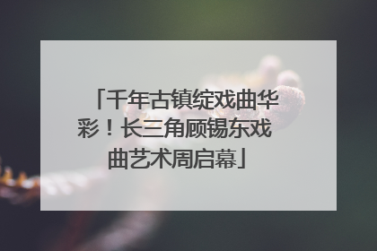 千年古镇绽戏曲华彩！长三角顾锡东戏曲艺术周启幕