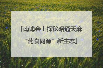 南博会上探秘昭通天麻“药食同源”新生态