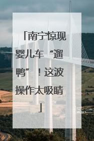 南宁惊现婴儿车“遛鸭”！这波操作太吸睛