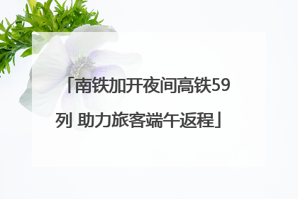 南铁加开夜间高铁59列 助力旅客端午返程