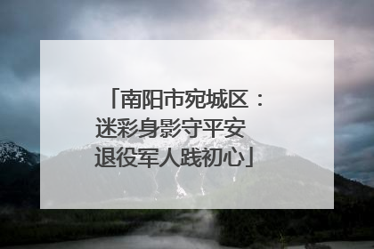 南阳市宛城区：迷彩身影守平安 退役军人践初心