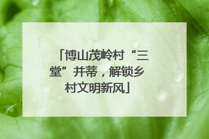 博山茂岭村“三堂”并蒂，解锁乡村文明新风