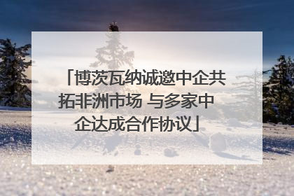 博茨瓦纳诚邀中企共拓非洲市场 与多家中企达成合作协议