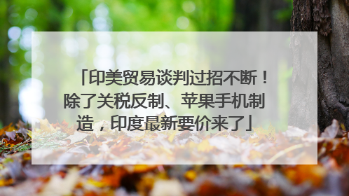 印美贸易谈判过招不断！除了关税反制、苹果手机制造，印度最新要价来了
