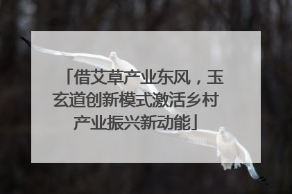 借艾草产业东风，玉玄道创新模式激活乡村产业振兴新动能