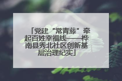 党建“常青藤”牵起百姓幸福线——桦南县秀北社区创新基层治理纪实