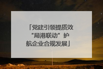 党建引领提质效 “局港联动”护航企业合规发展