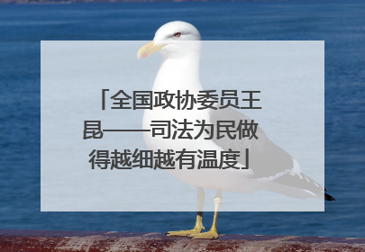 全国政协委员王昆——司法为民做得越细越有温度