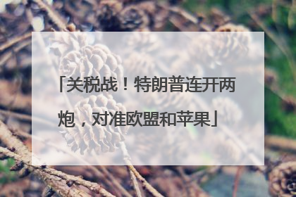 关税战！特朗普连开两炮，对准欧盟和苹果